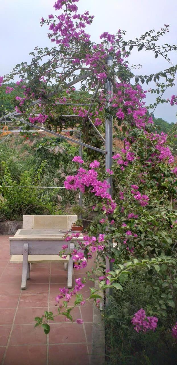 Mountain Breath Retreat - Am Nui Tho Apartment Yen Bai Ngoại thất bức ảnh